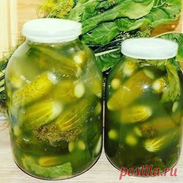 РЕЦЕПТ СОЛЕНЫХ ОГУРЦОВ 

Сейчас я напишу старинный рецепт соленых огурцов, так делала моя мама и бабушка. 
 
Огурцы складываем в 3ёх л. банку, не забываем на дно укроп, смород.листья, хрен листья, перец горошком, чеснок. Кладётся столько, как ваша душа пожелает. 100гр соли высыпаете в банку и заливаете холодной водой. Прикрыв крышкой убираете на 3 дня киснуть. На 3ий день сливаете рассол в кастрюлю и кипятите. Вскипел - залили эти же огурцы и под п/э крышку.хранится где уг...