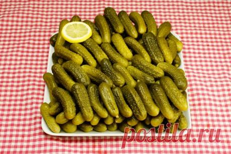 Kornişon turşu nasıl kurulur? Kurmaya karar verdiğinizde bazı malzemelere ihtiyaç duyacaksınız. Bu malzemelerin bir çoğu evinizde bulunabilecek şeylerdir.