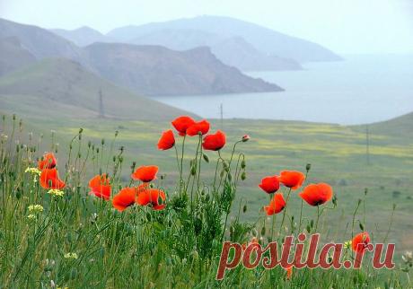 Весенний Крым