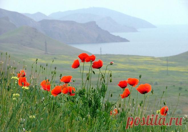 Весенний Крым