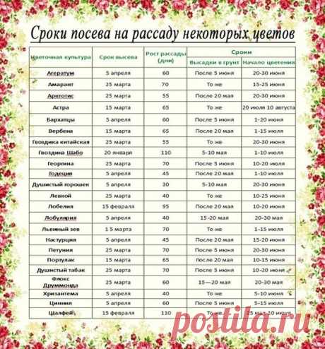 (3) Мой Мир@Mail.Ru