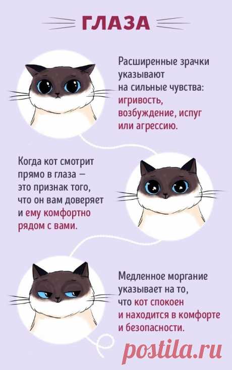 20758115-194697-2-0-1483104703-1483104709-650-45f9427d1f-1-1483697700.jpg (650×1037)