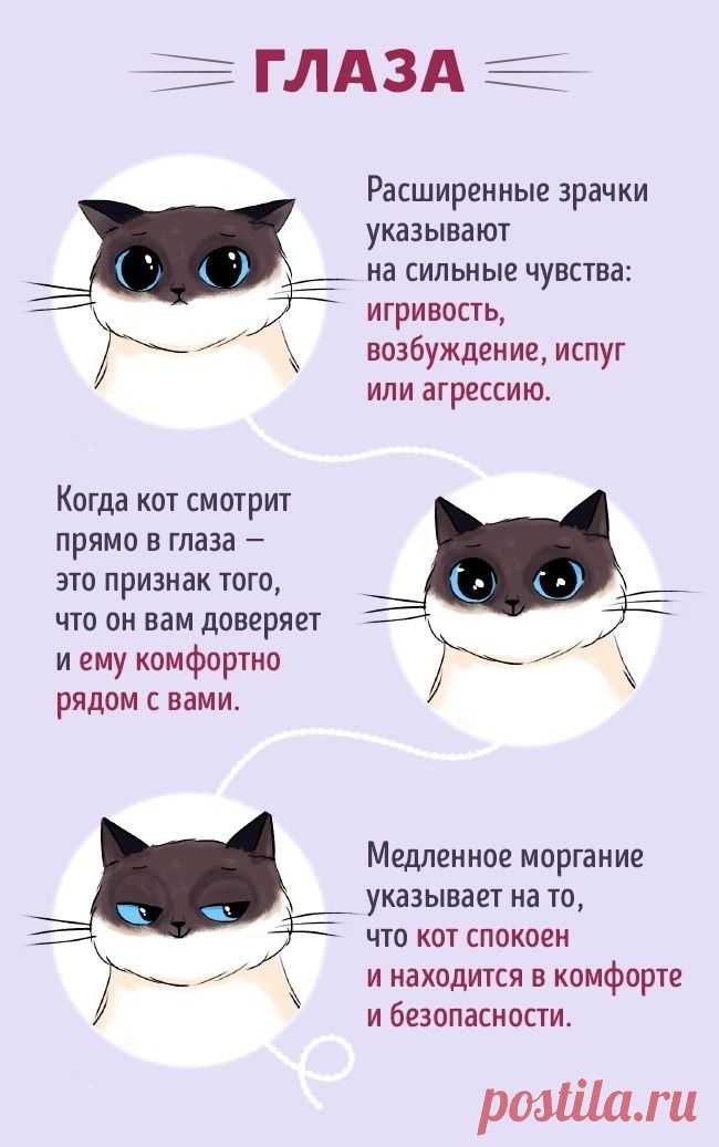 20758115-194697-2-0-1483104703-1483104709-650-45f9427d1f-1-1483697700.jpg (650×1037)