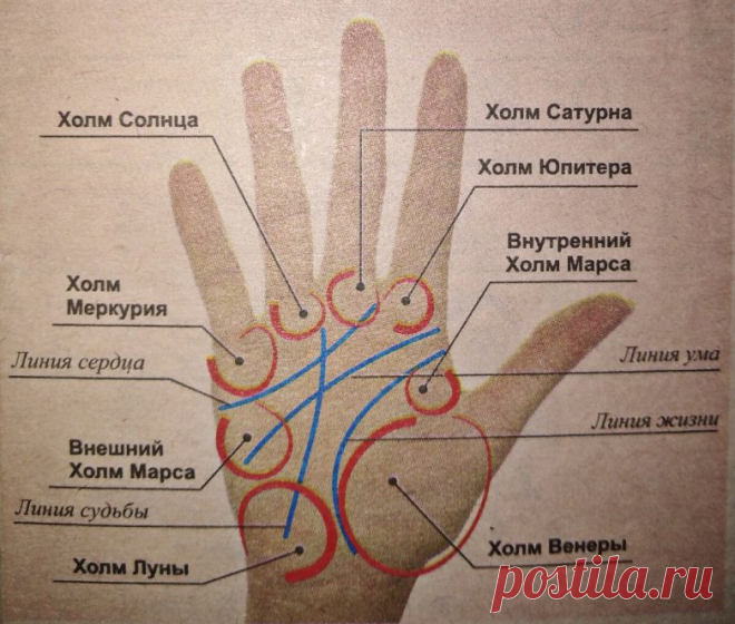 Как гадают по ладони? / Мистика