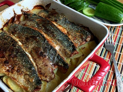 «Филе скумбрии, запеченное с картофелем» : Рыбные блюда