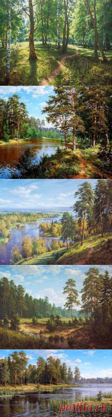 Художник Сергей Басов