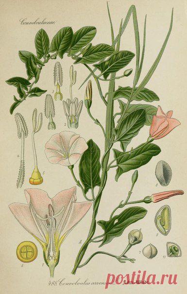 ~ MON PLAISIR ~ Вещи для души. Винтаж,Прованс.