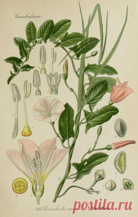 ~ MON PLAISIR ~ Вещи для души. Винтаж,Прованс.