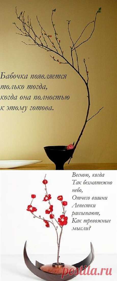 Икебана и поэзия - Гармония созерцания.