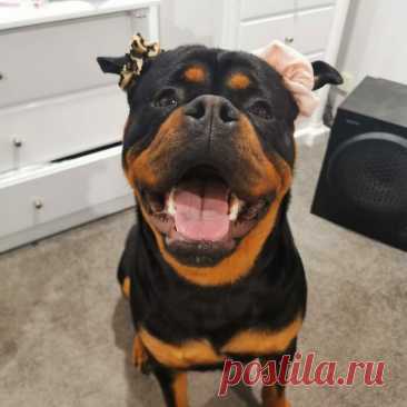 Улыбка — это самый прекрасный и самый быстрый улучшатель настроения!