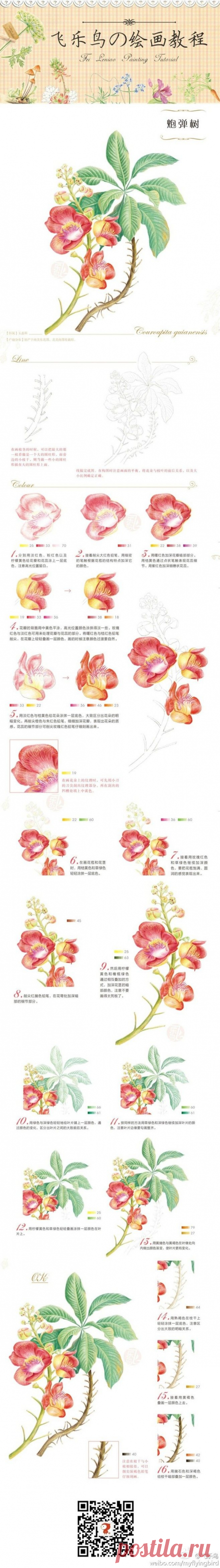 飞乐鸟的照片 - 微相册@阿狸~仔采集到色铅笔(381图)_花瓣