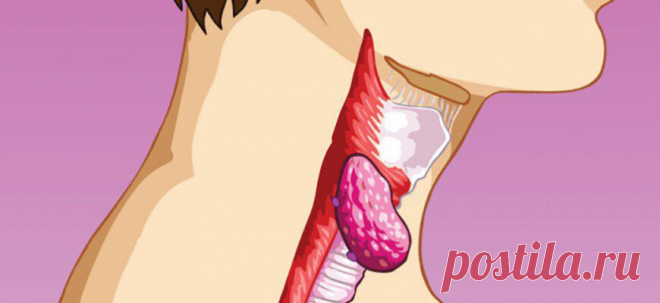 Как естественно заботиться о своей щитовидной железе! - Советы для женщин