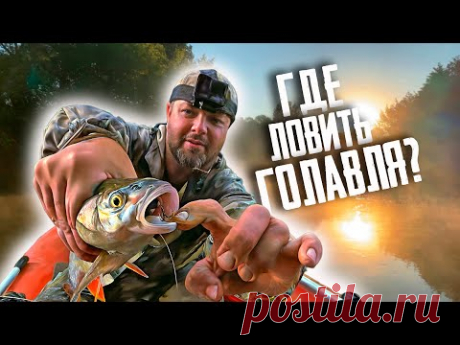 🔴 ГДЕ ИСКАТЬ ГОЛАВЛЯ НА МАЛЫХ РЕКАХ? Точно ПОЙМАЕШЬ!!! 🔥🔥🔥