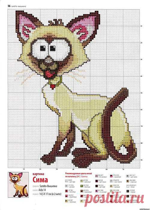 прикольный кот