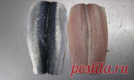 Чистим селедку от костей за 3 минуты: разрезаем вдоль и получаем филе