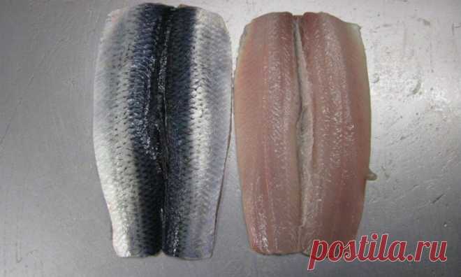 Чистим селедку от костей за 3 минуты: разрезаем вдоль и получаем филе