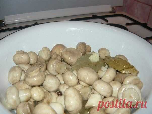 Быстрые маринованные грибочки - очень вкусный рецепт