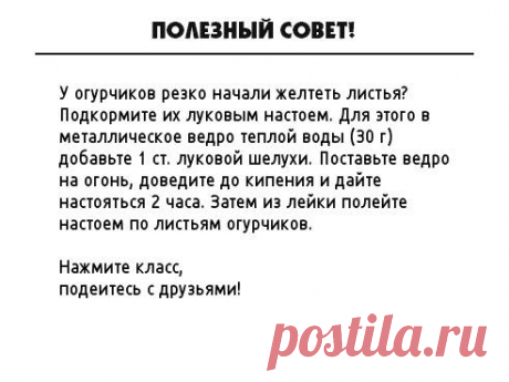 Одноклассники