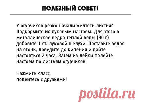 Одноклассники