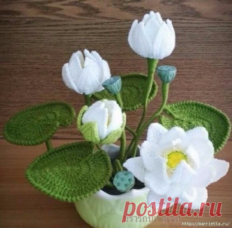 Белая кувшинка крючком (Вязаные цветы) | Журнал Вдохновение Рукодельницы