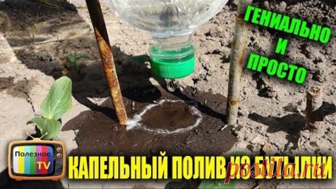 НЕ ВЫБРАСЫВАЙТЕ ПЛАСТИКОВЫЕ БУТЫЛКИ СДЕЛАЙТЕ ИЗ НИХ УНИКАЛЬНЫЙ КАПЕЛЬНЫЙ ПОЛИВ