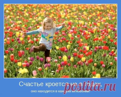 «Если когда-нибудь, гоняясь за счастьем, вы найдете его, то, подобно старухе, искавшей свои очки, обнаружите, что счастье все время было у вас на носу.» Шоу Б.