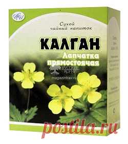 Калгановка – рецепт настойки корня калгана на водке (самогоне)