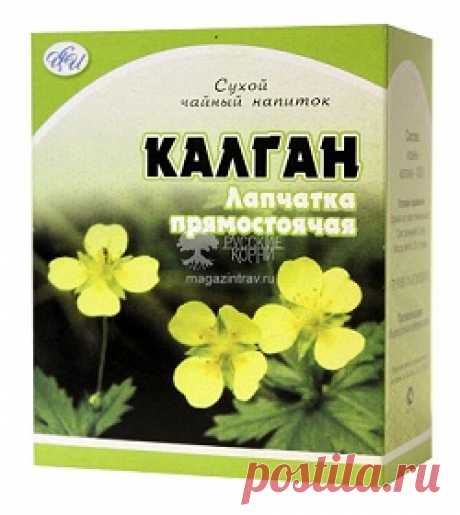 Калгановка – рецепт настойки корня калгана на водке (самогоне)