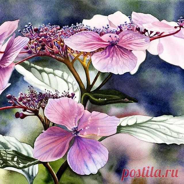 Photo by Акварель 🌟 Скетчи 🌟 Watercolor in Парк Горького. May be a closeup of flower.