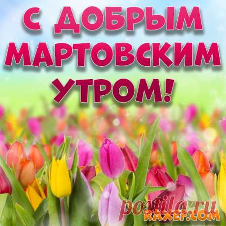 Картинки на доброе мартовское утро! Открытки! Доброе утро мартовское! Открытка с берёзовой... | Страница 3