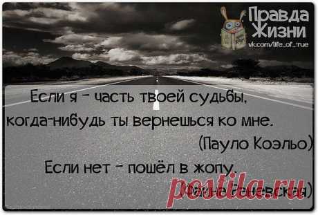 Антонина: ЖИВУ, ЦВЕТУ и ХОРОШЕЮ! О том, что было — не жалею! О том, что будет — не гадаю! А то, что есть — я обожаю!!!