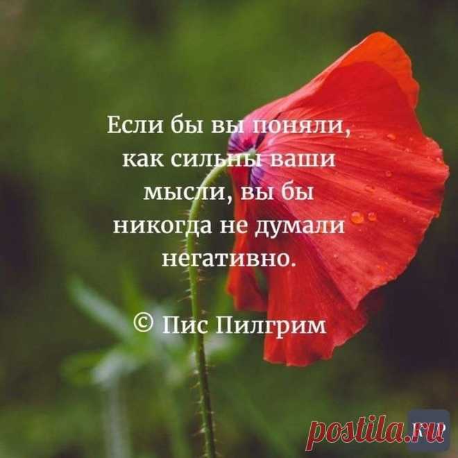 Проза жизни такова.