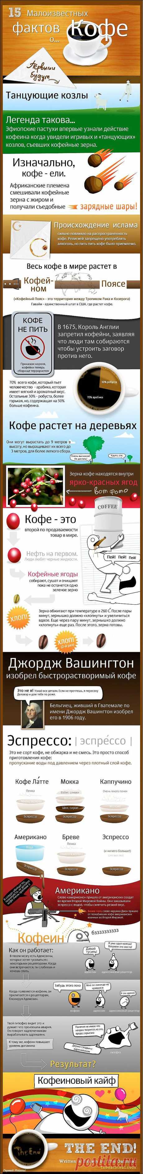15 вещей, которые стоит знать о кофе.