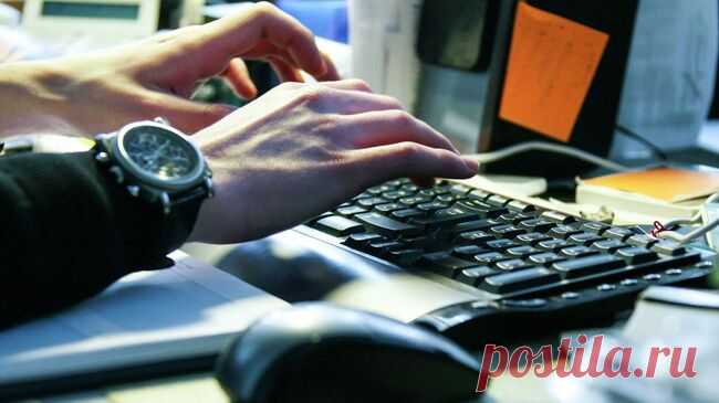 Россиян предупредили о мошенниках, предлагающих удаленную работу