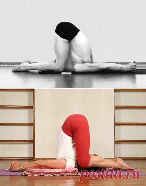 Карнапидасана | CisGoa.com