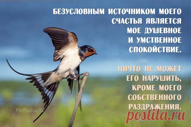 Высказывания Далай Ламы, которые изменят ваше мышление