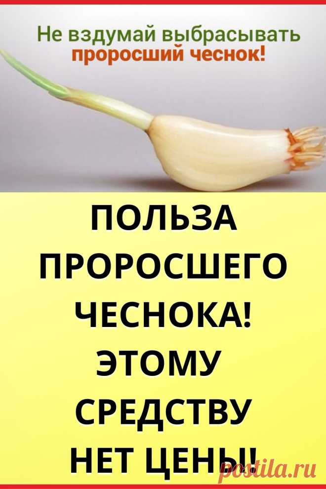 ПОЛЬЗА ПРОРОСШЕГО ЧЕСНОКА! ЭТОМУ СРЕДСТВУ НЕТ ЦЕНЫ!