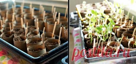 Прекратите выбрасывать втулки от туалетной бумаги! Вот 23 блестящих способа их повторного применения. - Своими руками