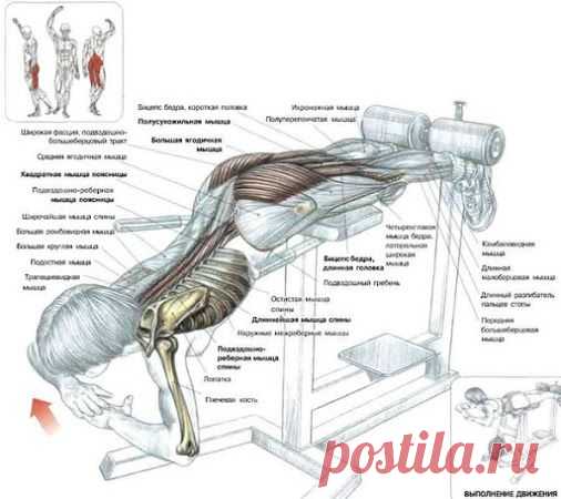 Популярное – Google+