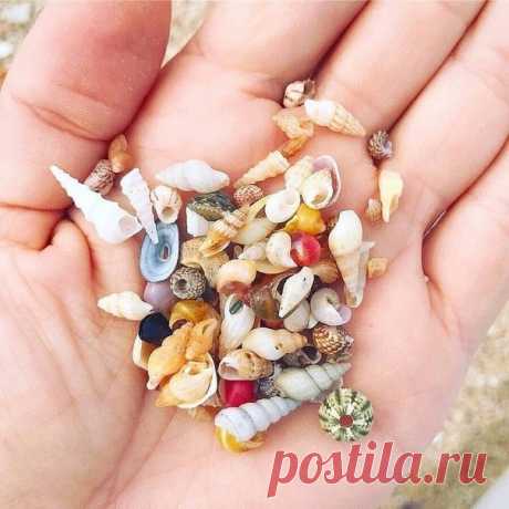 В ракУшке поселилось море,
Оно шуршит, оно шумит.
Я увезу его с собою,
Пока оно в ракУшке спит...