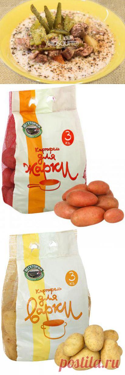 Суп Пьяный Индюк | 4vkusa.ru