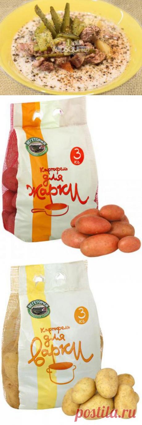 Суп Пьяный Индюк | 4vkusa.ru