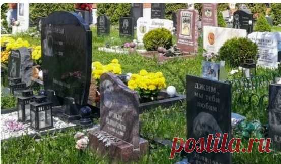 Что делать, если умерли кот или собака? Можно ли похоронить друга рядом с домом или в лесу и за что можно получить штраф 40 000 руб.?  Что делать, если умер кот или собака: Можно ли похоронить домашнее животное в лесу или рядом с домом и за что можно получить штраф ...