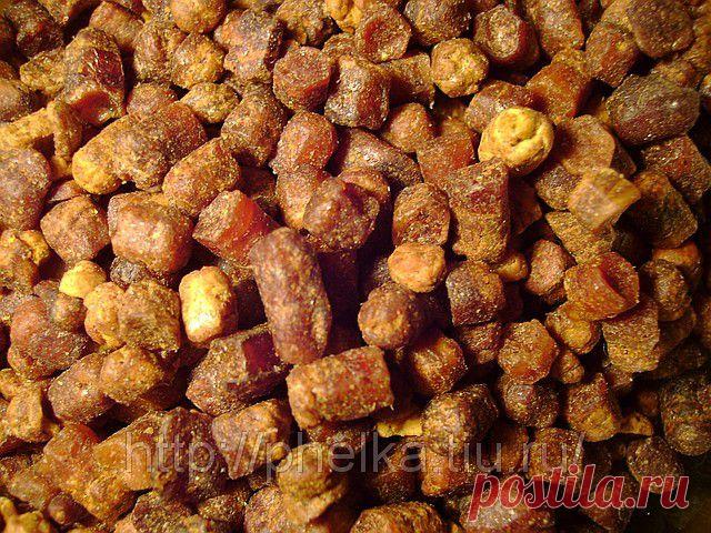 Пчелиная перга - лучший «хлеб» для здоровья