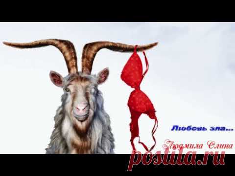 Гимн брошеных кобыл...  прикольн