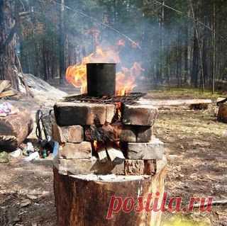 Я выживаю везде.