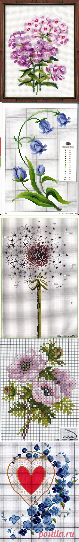 >Вышивка крестиком. Нежные цветочки