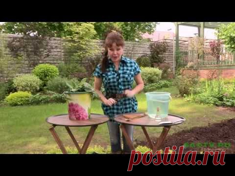 Посадка капусты "под ломик". Видео.