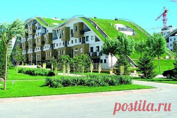 ОБЩЕСТВЕННАЯ ЭКОЛОГИЧЕСКАЯ ЭКСПЕРТИЗА: теория и практика | Экология как бизнесс Экология как бизнесс