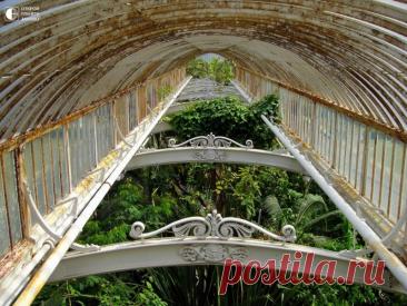 Королевские ботанические сады Кью Сады Кью не просто сады — это огромная парковая территория в 121 га, самая большая в мире коллекция растений (более 30 000 видов), более 650 сотрудников, библиотека в 750 000 томов книг, архивы, гербарий, банк семян, несколько оранжерей, дом кувшинок, аквариумы, альпийские сады, сад...